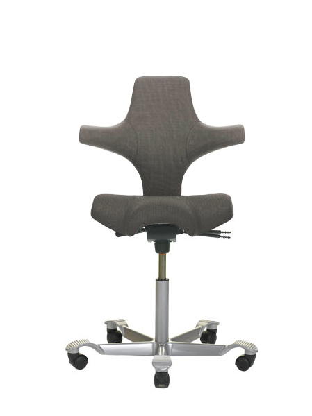 HAG Capisco 8106 Fame grau FM60019
