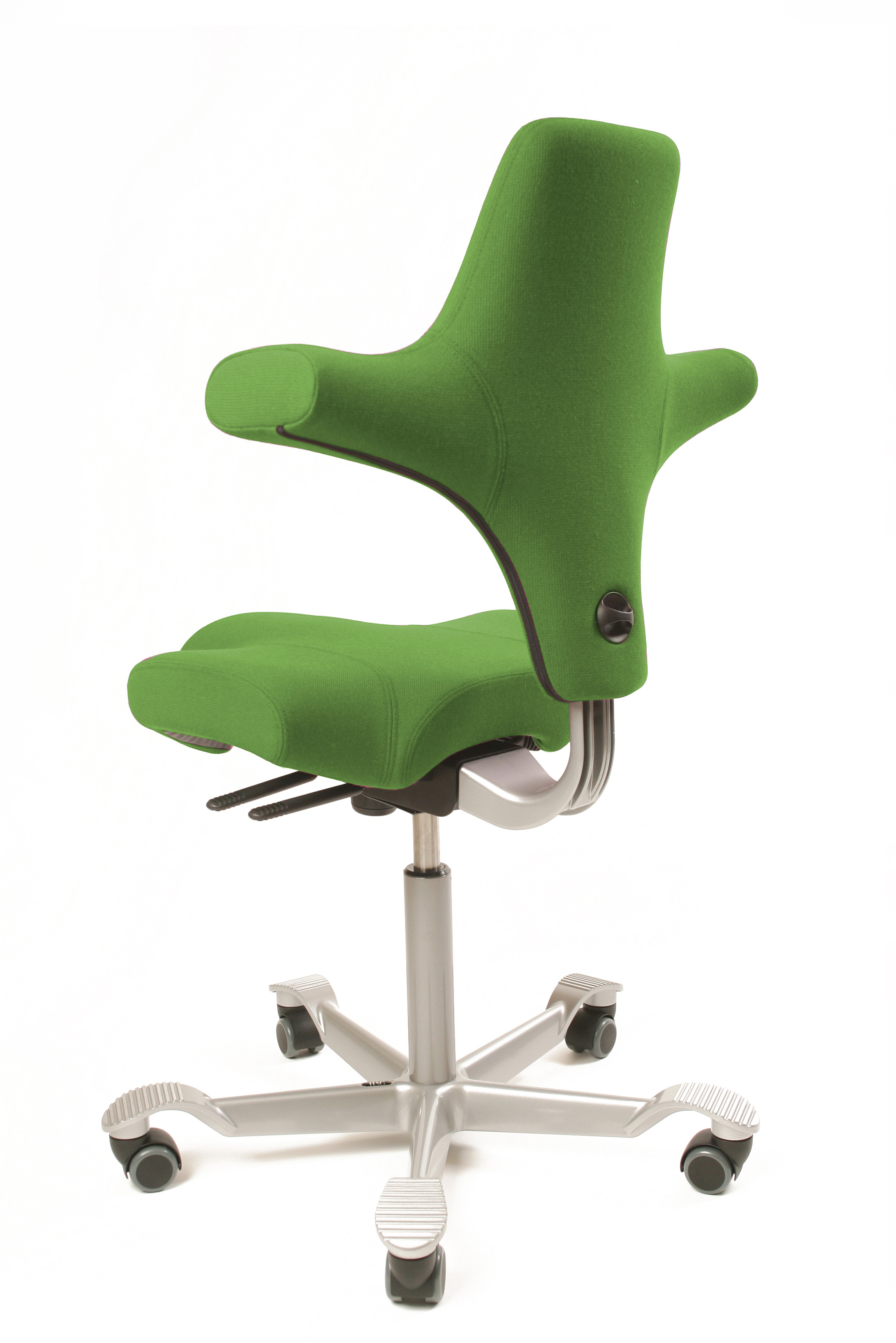 HAG Capisco 8106 Sonderedition Fame 68146 palme