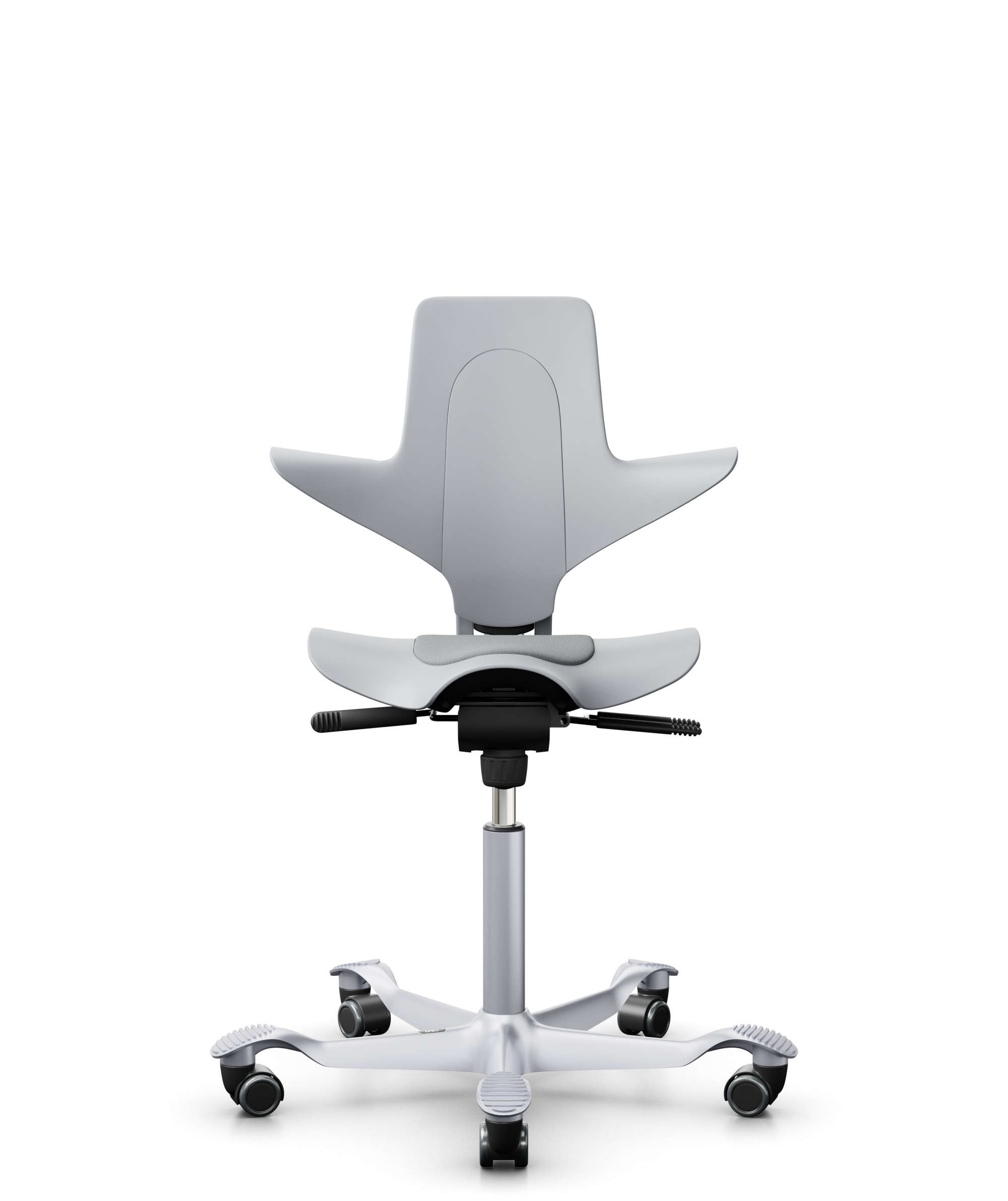 HAG Capisco Puls 8010 Select Light ash grey, SC60131