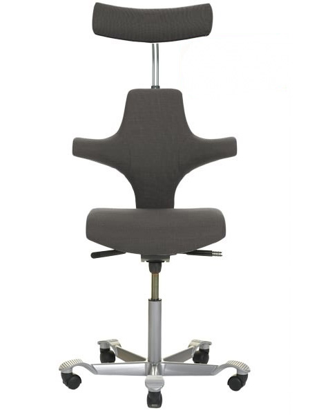 HAG Capisco 8127 Xtreme grau