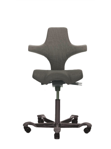 HAG Capisco 8106 Fame grau FM60019