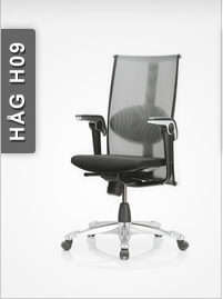 HAG H09